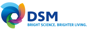 Logo DSM